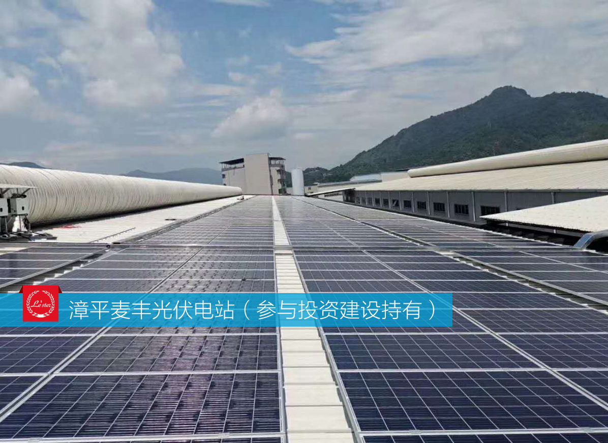 萊爾斯特參與投資建設(shè)持有的漳平麥豐光伏電站圖1